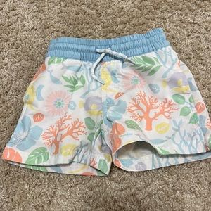 The Beaufort Bonnet Company Bimini Botanical Tortola Trunks